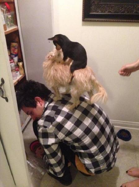 It' Impressive (41 pics)