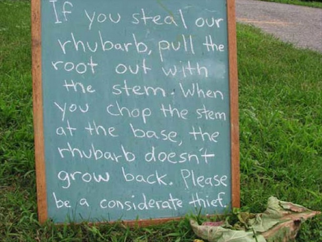 Funny Notes Written To Thieves (19 pics)
