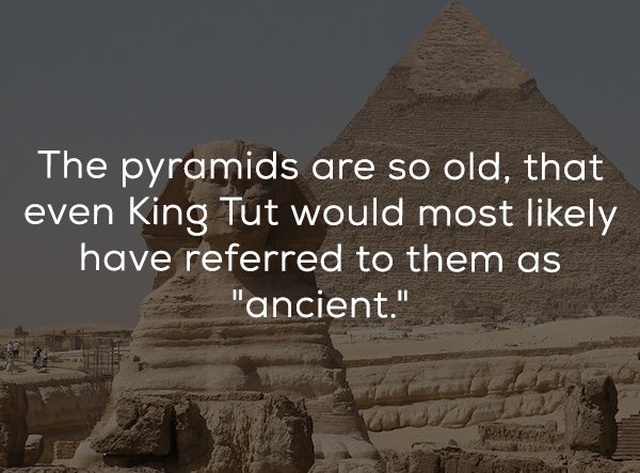 Odd History Facts (22 pics)