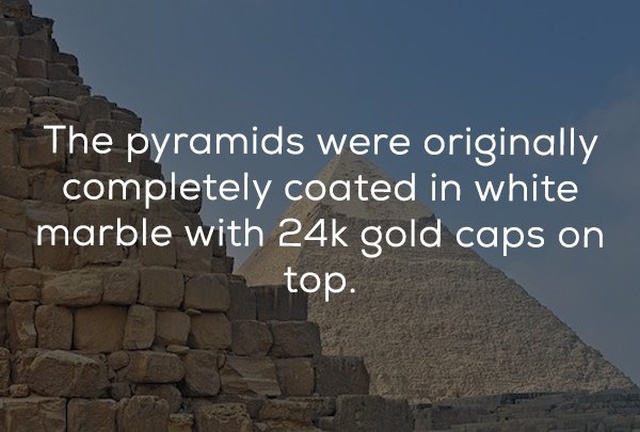 Odd History Facts (22 pics)