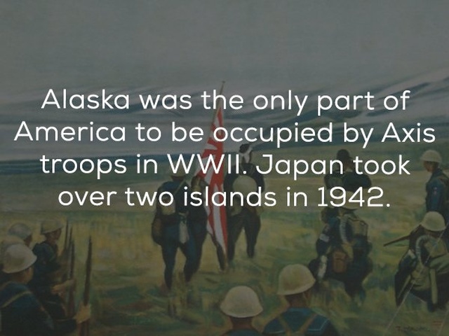 Odd History Facts (22 pics)