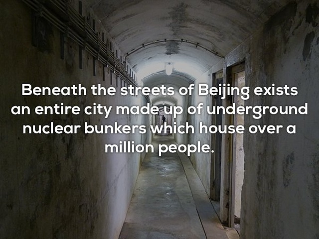 Interesting Facts (25 pics)