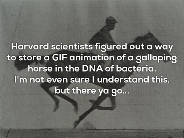 Interesting Facts (25 pics)