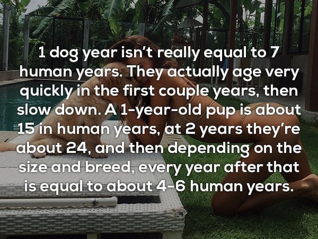 Interesting Facts (25 pics)