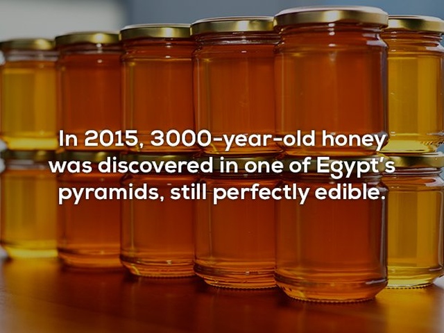 Interesting Facts (25 pics)