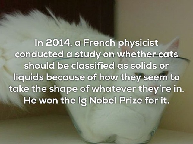 Interesting Facts (25 pics)