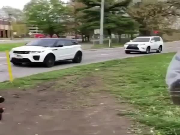 Fate In Humanity Restored