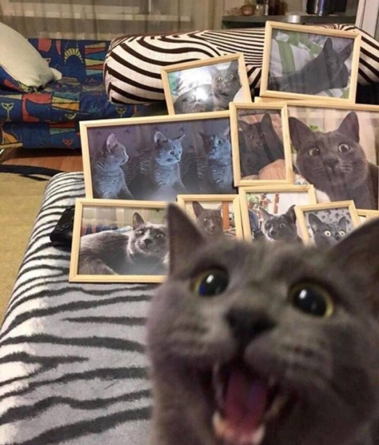 Acid Picdump (90 pics)