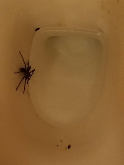 Welcome To Australia (27 pics)