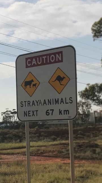 Welcome To Australia (27 pics)