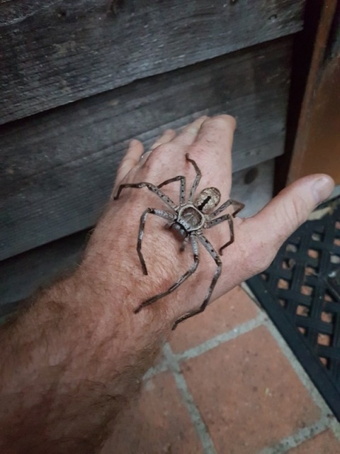 Welcome To Australia (27 pics)
