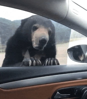 Acid Gifdump, December 26 (25 gifs)