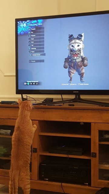Pictures For Gamers (32 pics)