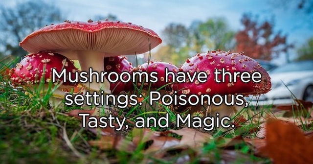 Best Shower Thoughts Of 2018 (44 pics)