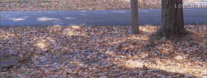 Acid Gifdump, December 28 (25 gifs)