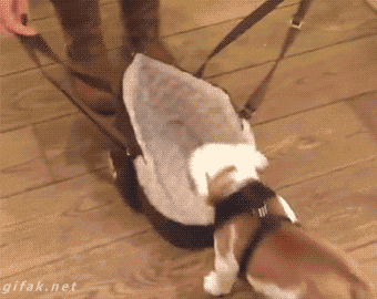 Acid Gifdump, December 28 (25 gifs)