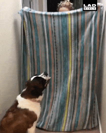 Acid Gifdump, December 28 (25 gifs)