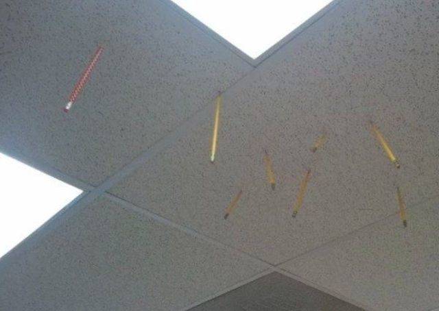 Welcome Back To Elementary School (34 pics)