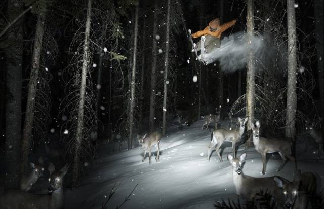 Acid Picdump (98 pics)