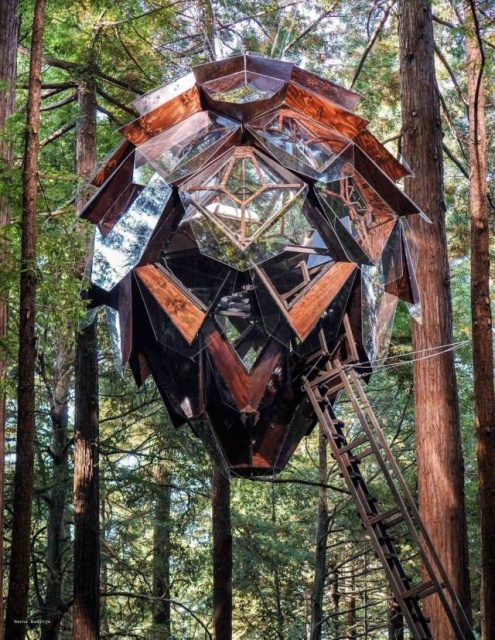 Acid Picdump (98 pics)