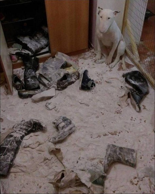 Acid Picdump (98 pics)