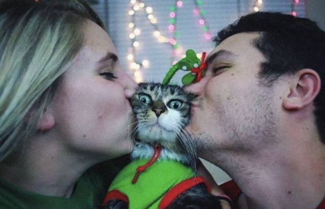 Acid Picdump (98 pics)