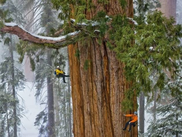 Acid Picdump (98 pics)