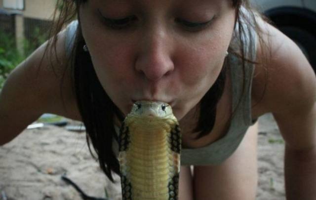 Acid Picdump (98 pics)