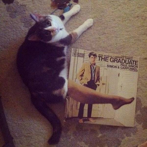 Acid Picdump (98 pics)