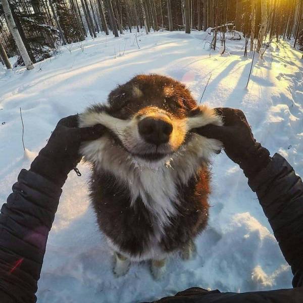 Acid Picdump (98 pics)