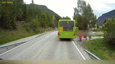 Close Calls (16 gifs)