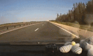 Close Calls (16 gifs)