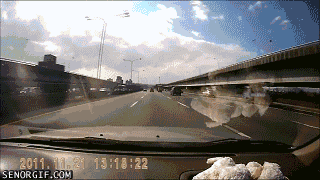 Close Calls (16 gifs)
