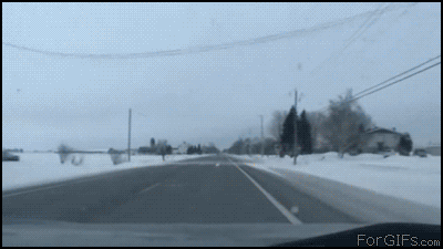 Close Calls (16 gifs)