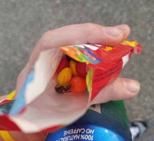 No Way (40 pics)