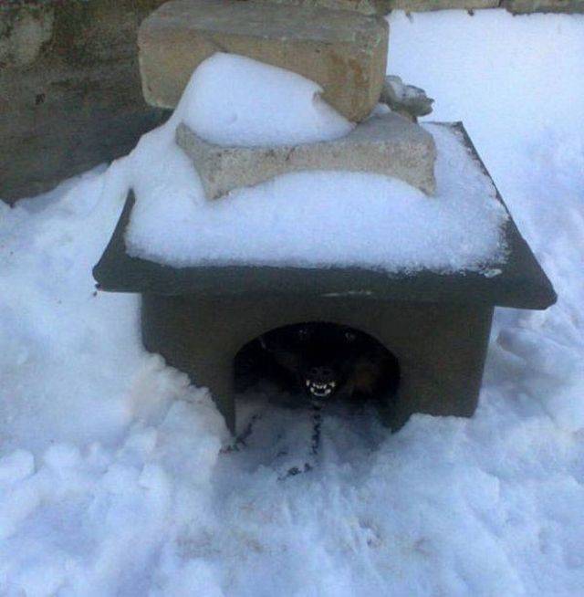 No Way (40 pics)