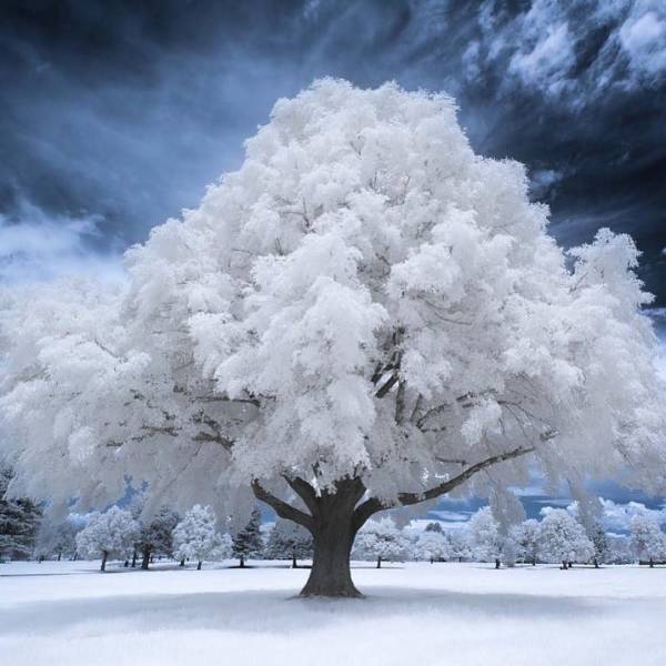 When A Picture Says More Than Just A Thousand Words (44 pics)