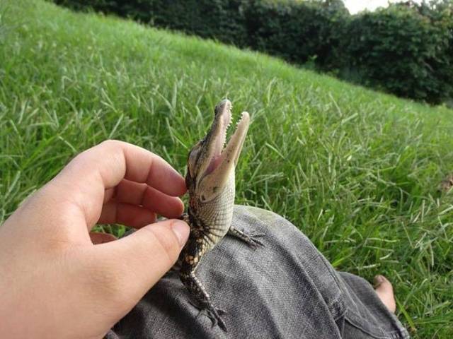 When A Picture Says More Than Just A Thousand Words (44 pics)