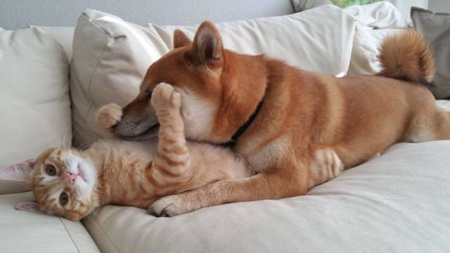 When A Picture Says More Than Just A Thousand Words (44 pics)