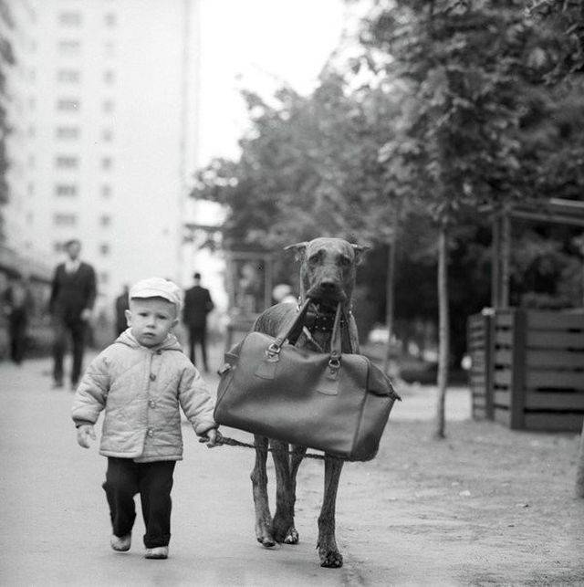 When A Picture Says More Than Just A Thousand Words (44 pics)