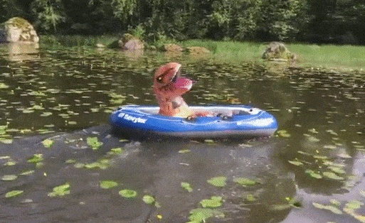 Acid Gifdump, January 2 (25 gifs)