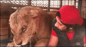 Acid Gifdump, January 2 (25 gifs)