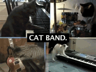 Acid Gifdump, January 2 (25 gifs)