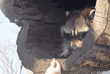 Acid Gifdump, January 2 (25 gifs)