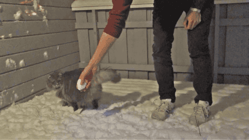 Acid Gifdump, January 2 (25 gifs)