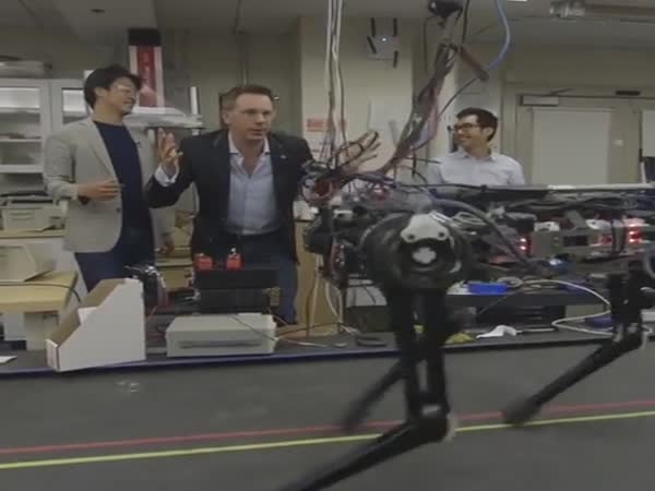 Robots Gonna Kill Us