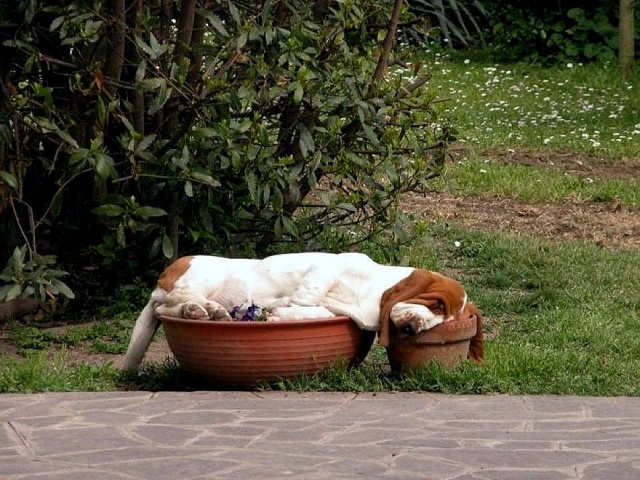 Acid Picdump (23 pics)