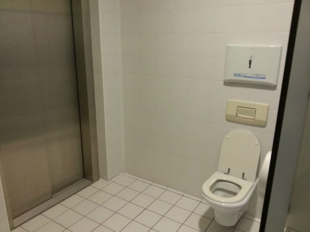 The Worst Toilets Ever (17 pics)