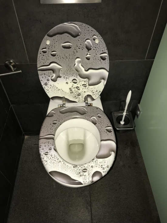 The Worst Toilets Ever (17 pics)