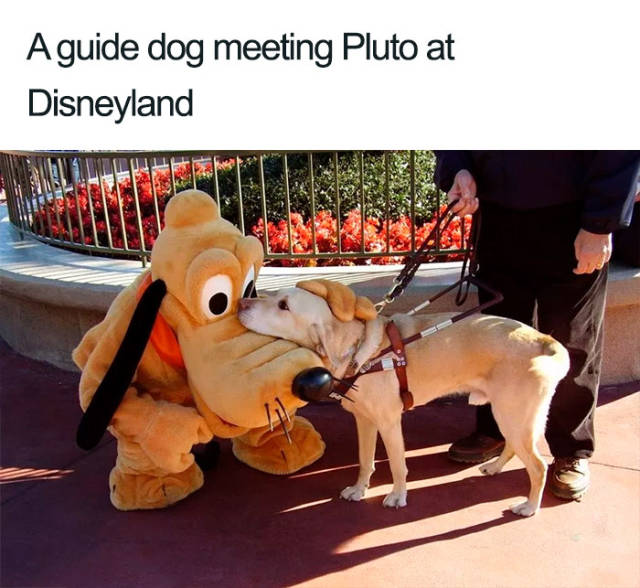 Disney Employees Are Awesome (20 pics)